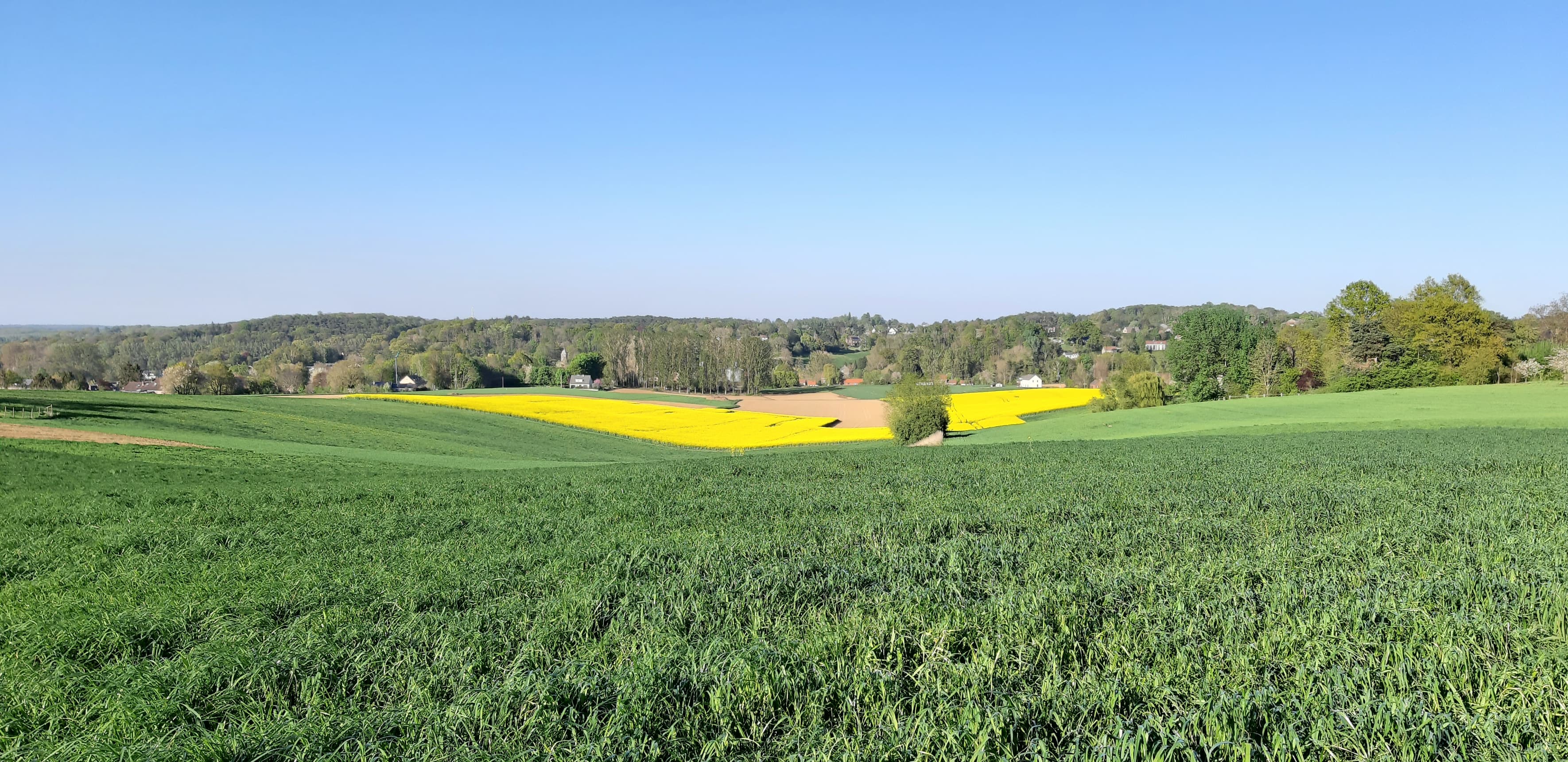 paysage-campagne