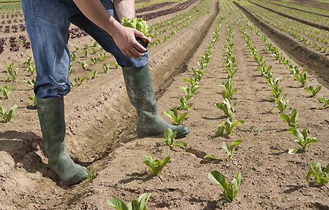 agriculteur