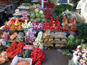 fruits-marche-ecuador